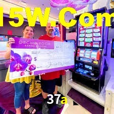 Crash Games Statistics 37a